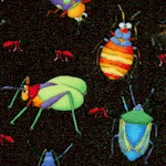 Bugaboo - Whimsical Insects on Black