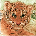 Safari Cats - Young Cubs at Play - LTD. YARDAGE AVAILABLE (.75 yd.) MUST BE PURCHASED IN FULL