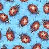 Real Ladybugs on Blue