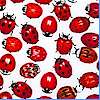 Small-Scale Ladybugs on White - LTD. YARDAGE AVAILABLE IN 2 PIECES