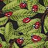 Tossed Ladybugs on Leaves on Black by Dan Morris