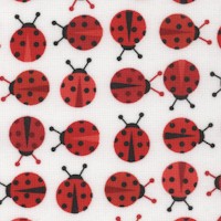 AN-ladybugs-R657