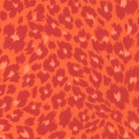 It’s a Jungle Out There - Orange Leopard