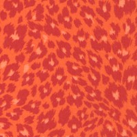 Its a Jungle Out There - Orange Leopard