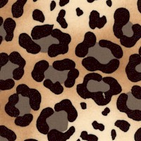 Kimba - Leopard Skin in Light Earthtones