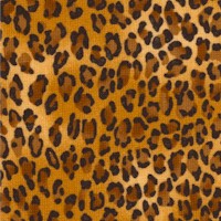 AN-leopard-L496