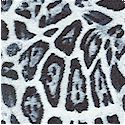 Big Cats - Leopard Skin in Black and Gray