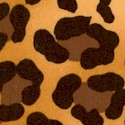 Kimba - Leopard Skin in Rich Earthtones
