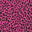 It Girls - Leopard Skin on Hot Pink