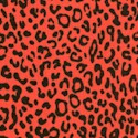 It Girls - Leopard Skin on Orange