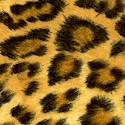 Plains of Africa - Leopard Skin