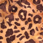 Kalahari Leopard Skin