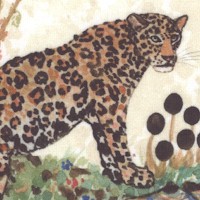 AN-leopards-CC137