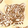 Leopard Sketches in Shades of Brown