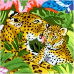 In the Tropics - Mother Leopard