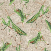Frolicking Field - Tossed Praying Mantis on Beige