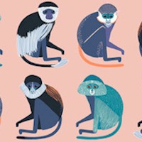 Bwindi Forest - Rows of Monkeys by Katy Tanis