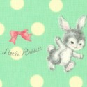 AN-rabbits-U566