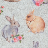 AN-rabbits-Z614