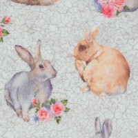 Bunny Love