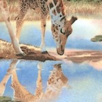 Out of Africa - Peaceful Giraffes on the Plains by Howard Robinson - SALE! (MINIMUM PURCHASE 1 YARD)