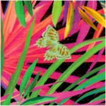 Safari - Allover Jungle Foliage and Butterfly Coordinate