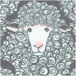 Eyes on Ewe - Adorable Sheep