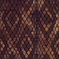 Stonehenge Skins - Snake Skin by Sunshine Cottage