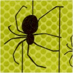 AN-spiders-Y249