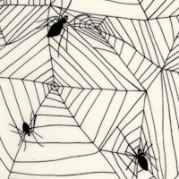 Witchy Webs - Eery Spiderwebs in Black and Cream