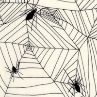 AN-spiderwebs-CC511