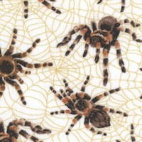AN-spiders-AA477