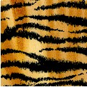 Safari Style - Tiger Skin Up Close