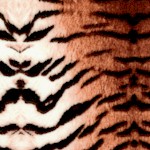 Expedition - Tiger Skin