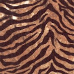Stonehenge Skins - Tiger Skin by Sunshine Cottage