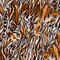 3-D Tigers