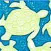 All Turtles on Turquoise
