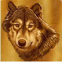 Lobo - Realistic Wolf Portraits on FLANNEL