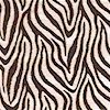 Safari Mothers - Brown and Beige Zebra Skin