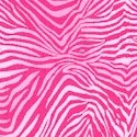 Pink Zebra Skin- BACK IN STOCK!