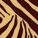 Zebe - Zebra Skin up Close