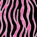 Goin’ Wild - Pink Zebra Stripe by Dan Morris