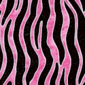 Goin Wild - Pink Zebra Stripe by Dan Morris