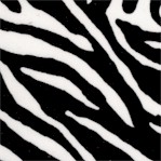 Zebra Skin Up Close