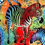 Tribal Insticts - Funky Zebras