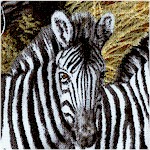 Animal Adventure - Stripes in the Savannah