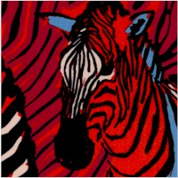 AN-zebras-Z560