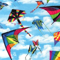 In Motion - Soaring Kites in the Sky