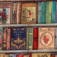 Library of Rarities - Small Scale Classic Books on Shelves