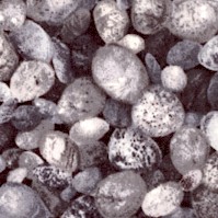 MISC-pebbles-DD593
